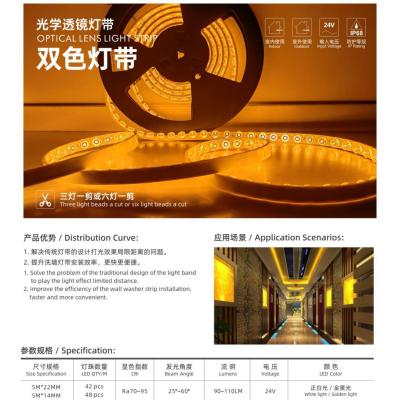 Lens light strip